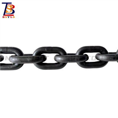 BST Txuas Txuas G80 Lifting Chain